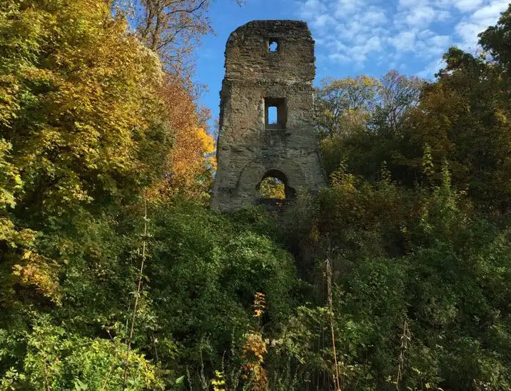 Ruine Speckfeld, Germany